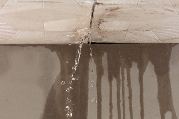 Professional Structural Drying technician working in New Johnsonville, TN